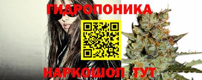синтетический гашиш Будённовск