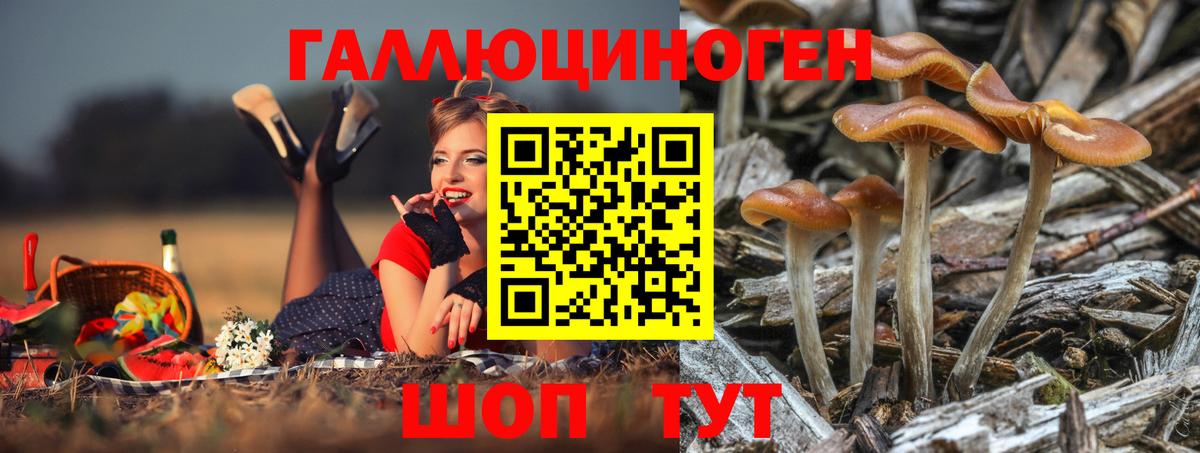 Галлюциногенные грибы Psilocybe  Вход с VPN  Липецк  Псилоцибиновые грибы GOLDEN TEACHER 
